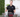 𝗣𝗿𝗲𝗻𝘀𝗮 𝗽𝗮𝗿𝗮 𝘀𝘂𝗯𝗹𝗶𝗺𝗮𝗿 𝘁𝗲𝗿𝗺𝗼𝘀 𝗱𝗲 𝟯𝟬𝗼𝘇. | 𝗣𝗿𝗲𝗻𝘀𝗮 𝗽𝗮𝗿𝗮 𝘁𝗮𝘇𝗮𝘀 𝗱𝘂𝗮𝗹 | Prensa doble para sublimar tazas